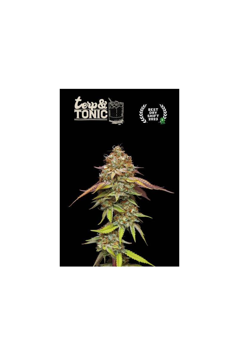 Terp & Tonic, Фасовка: 1